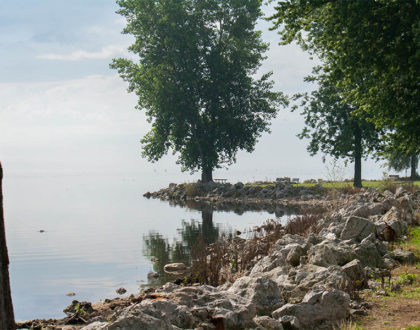 Nature Parks Near The Orchards MHC