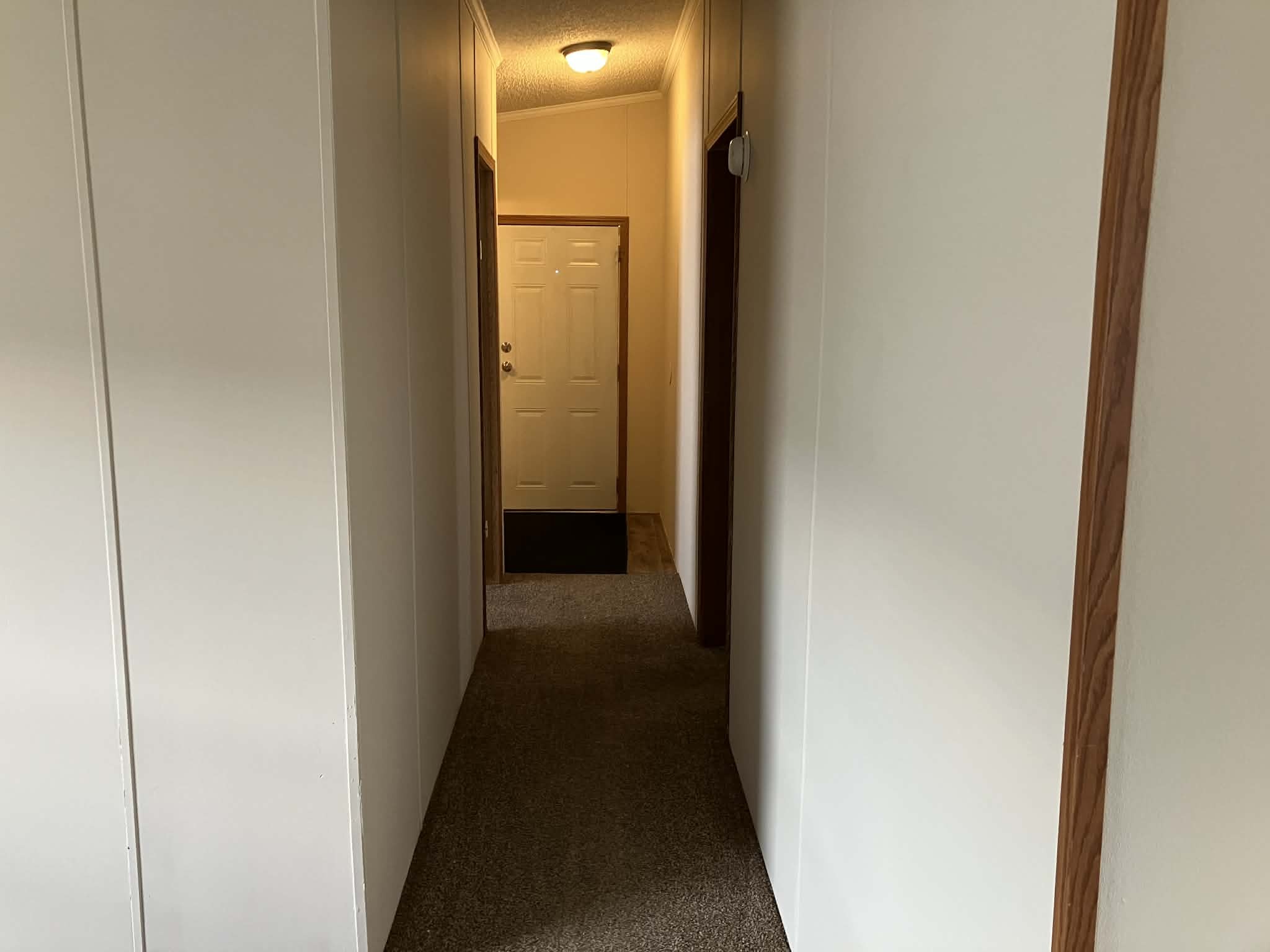 Lot 243