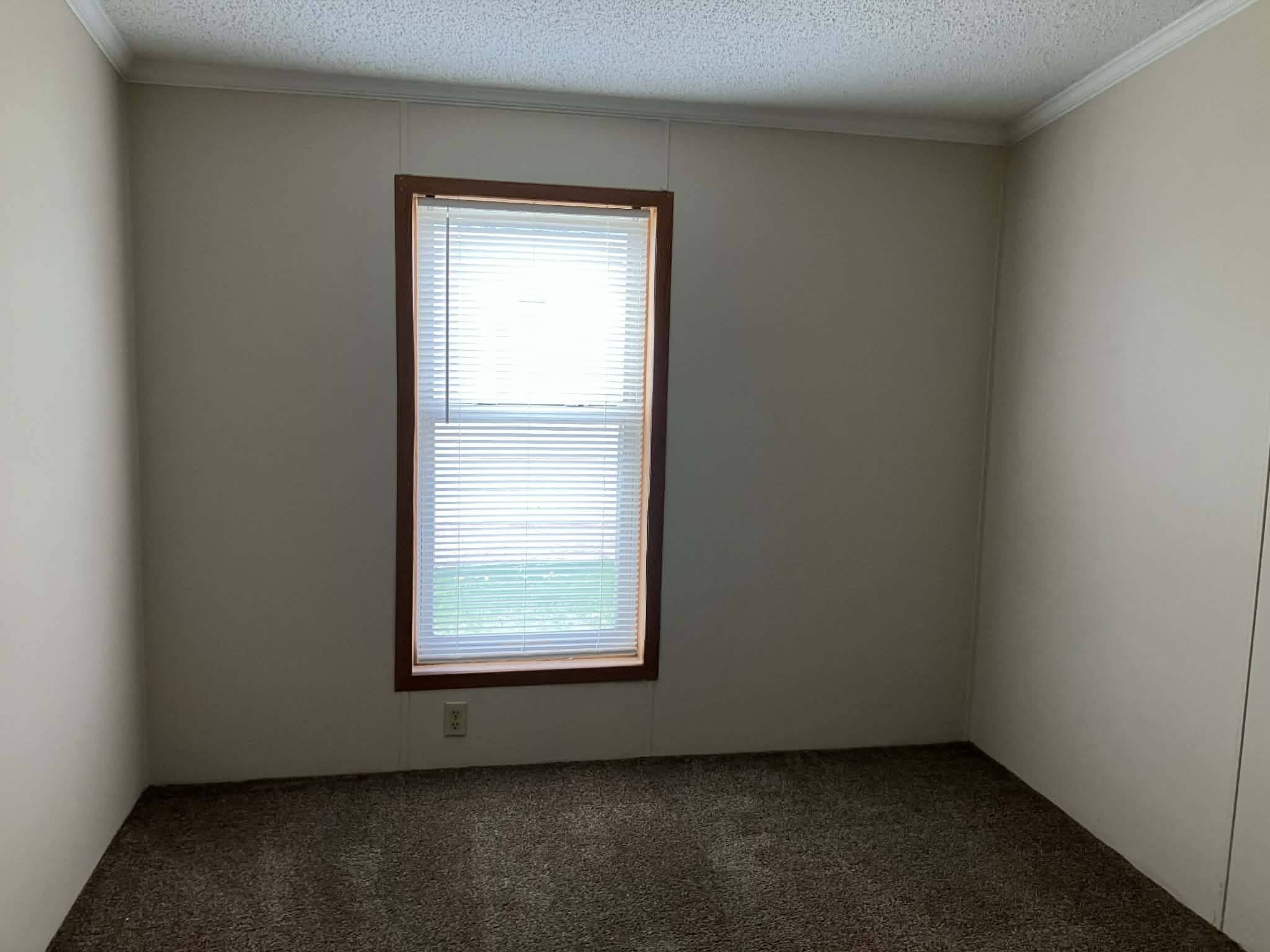 Lot 243