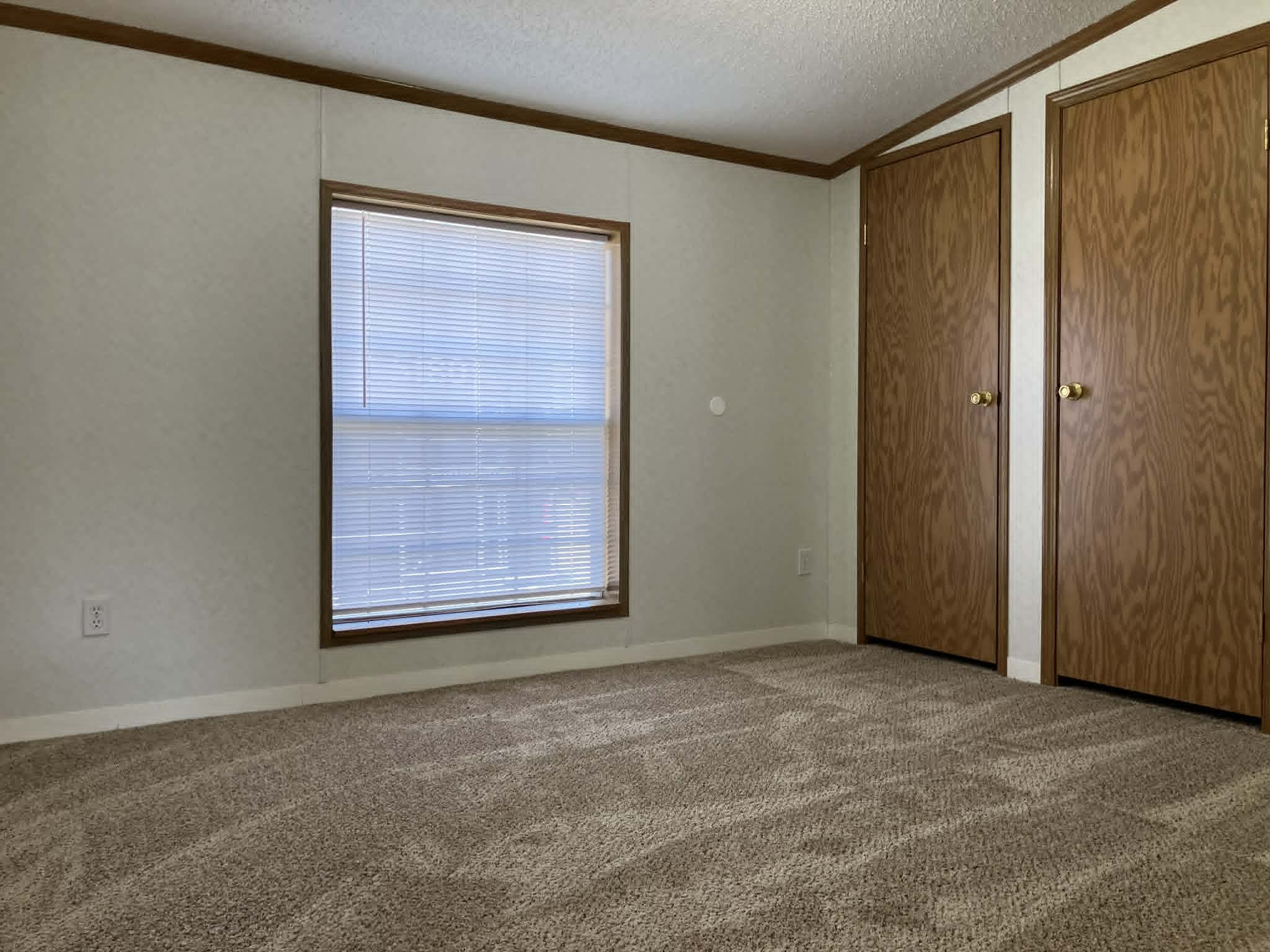 Lot 113