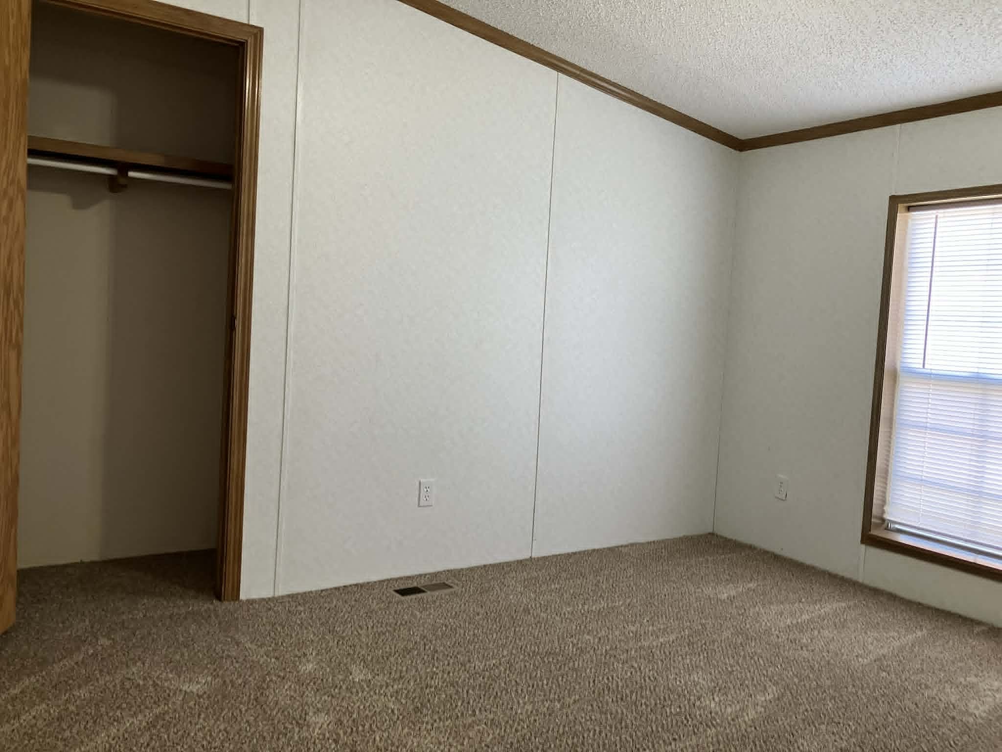Lot 113
